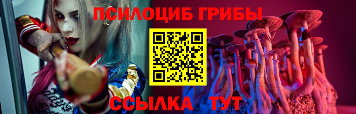 Псилоцибиновые грибы мухоморы Омск